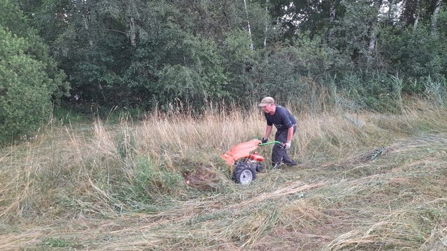 Foto 1: Wiesenmahd an der Reiherlache am 10.07.2023