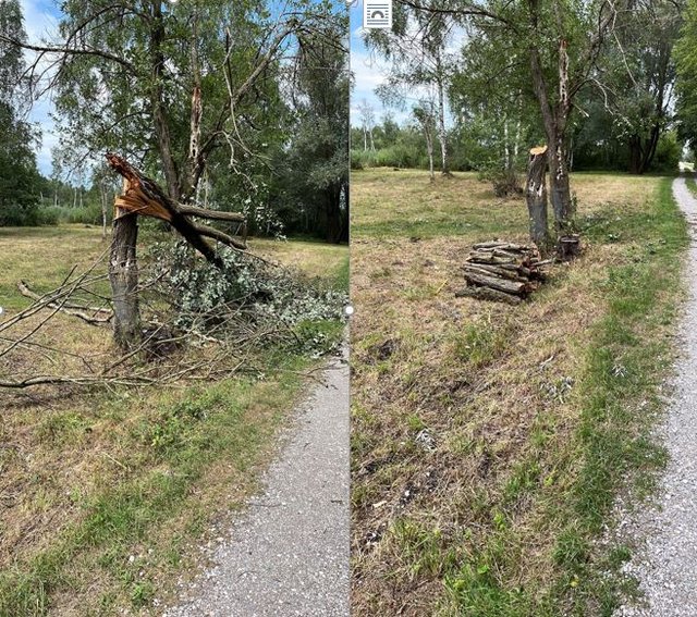 Fotos 3+4: Sturmschäden am Schwattachweiher 13.07.2023 und deren Beseitigung